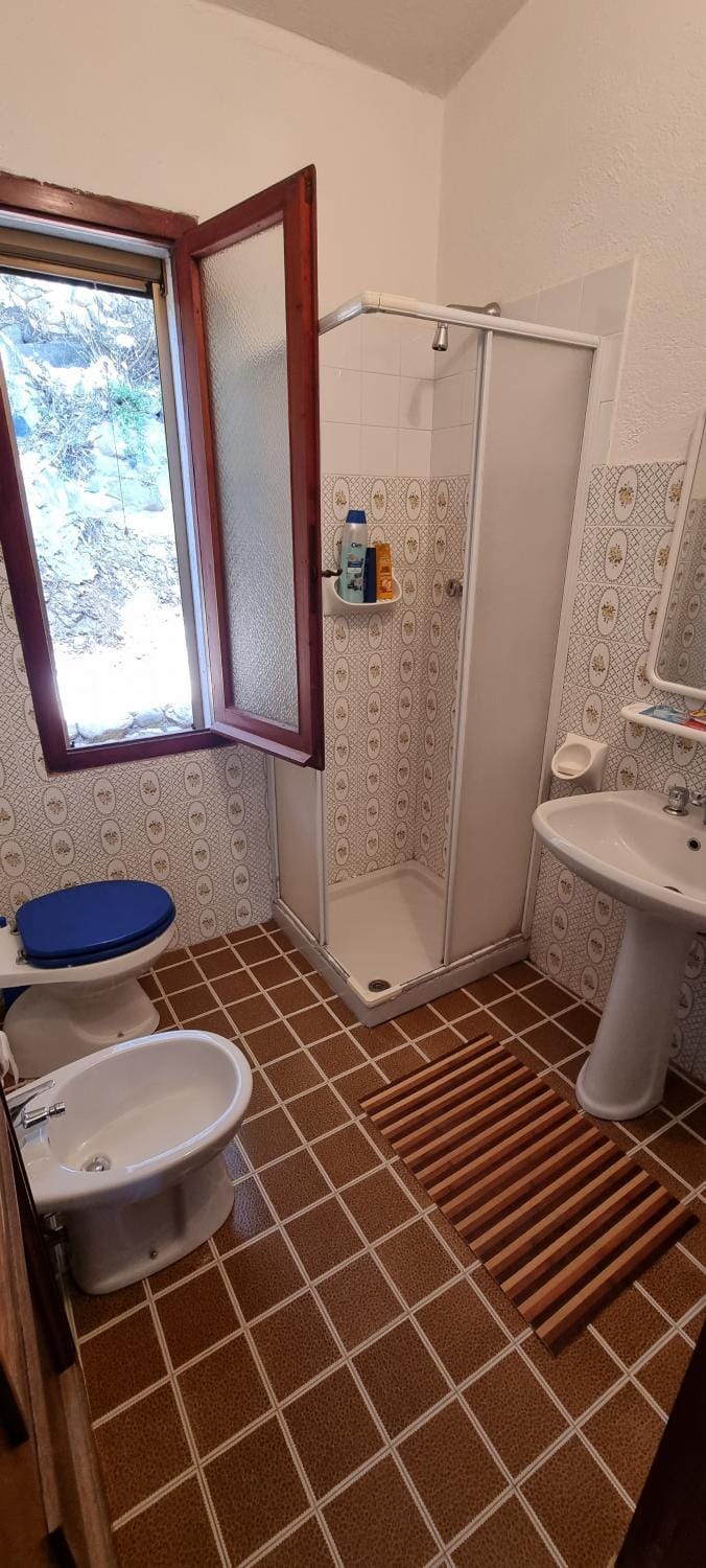 Shower, Toilet, Bathroom, bidet