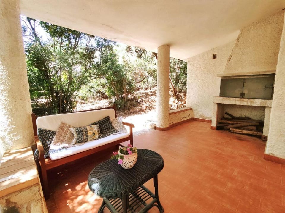 Patio, Garden, Garden view