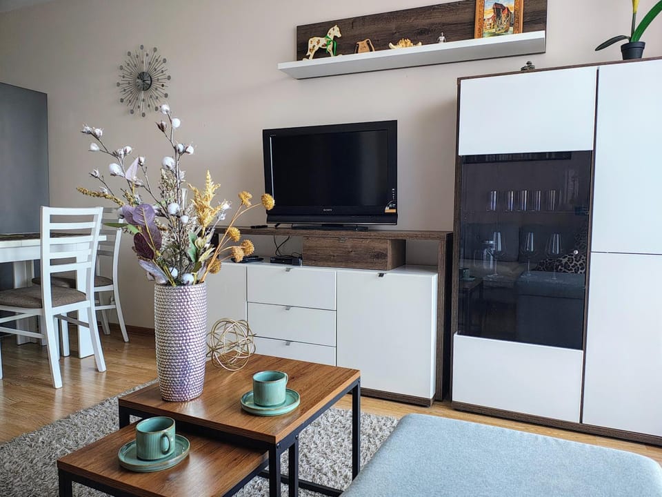 TV and multimedia