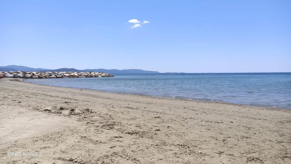 Palazzo tre palme Bed and Breakfast in Follonica