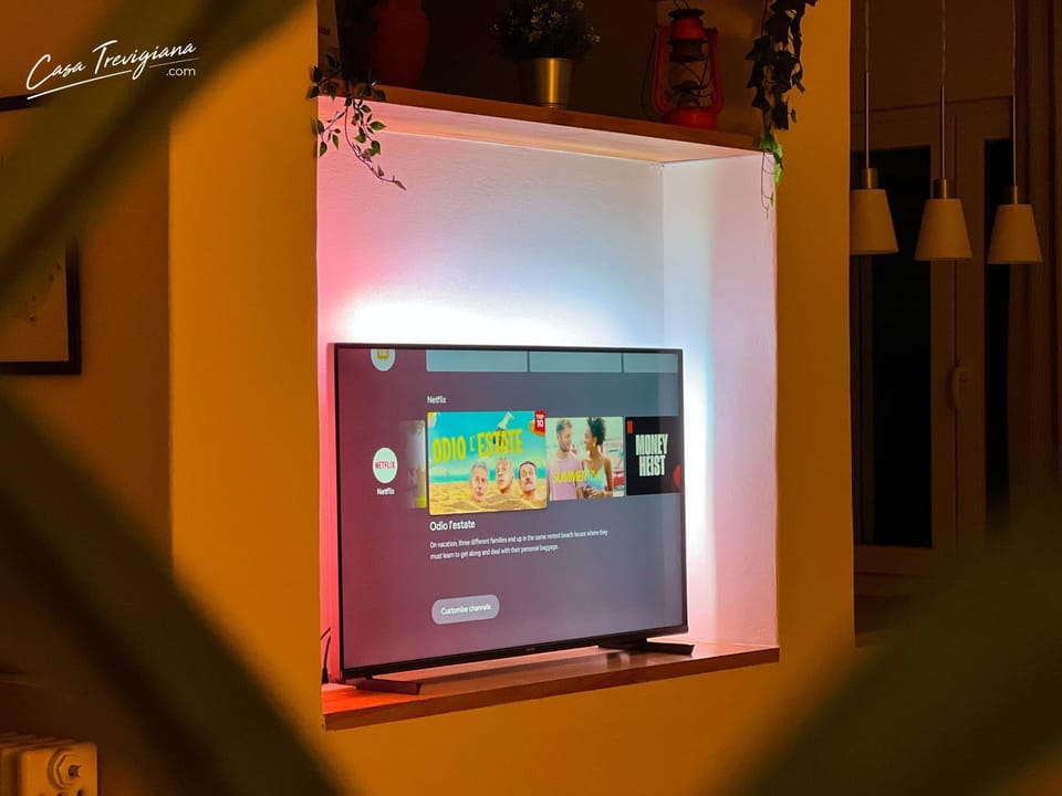 TV and multimedia