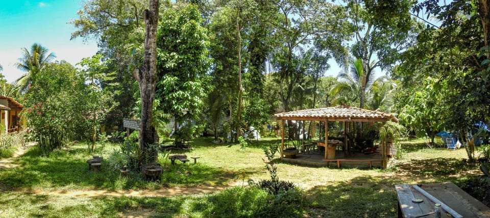 Natural landscape, Garden, Garden view