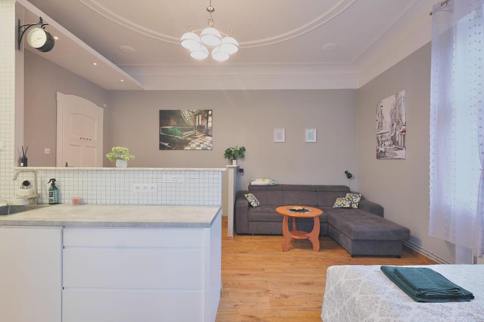 Kitchen or kitchenette, Living room, Photo of the whole room