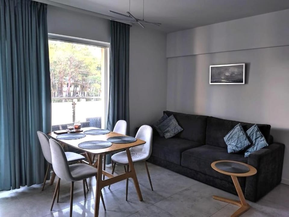 APARTAMENT NIEBIESKA FALA Apartment in Pomeranian Voivodeship