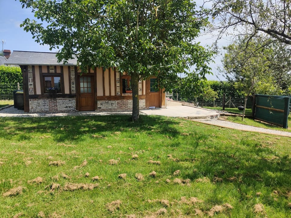 Property building, Garden, Garden view