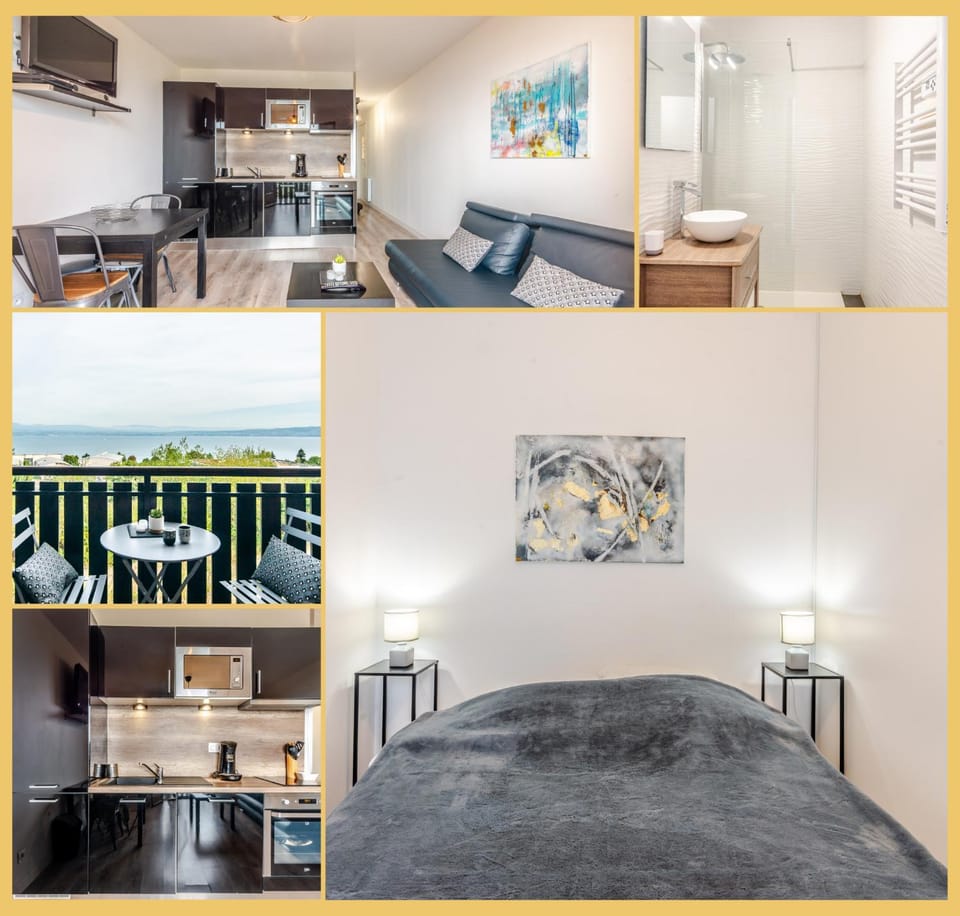 Appartement T2 I Vue Lac Léman I Evian les Bains Apartment in Évian-les-Bains