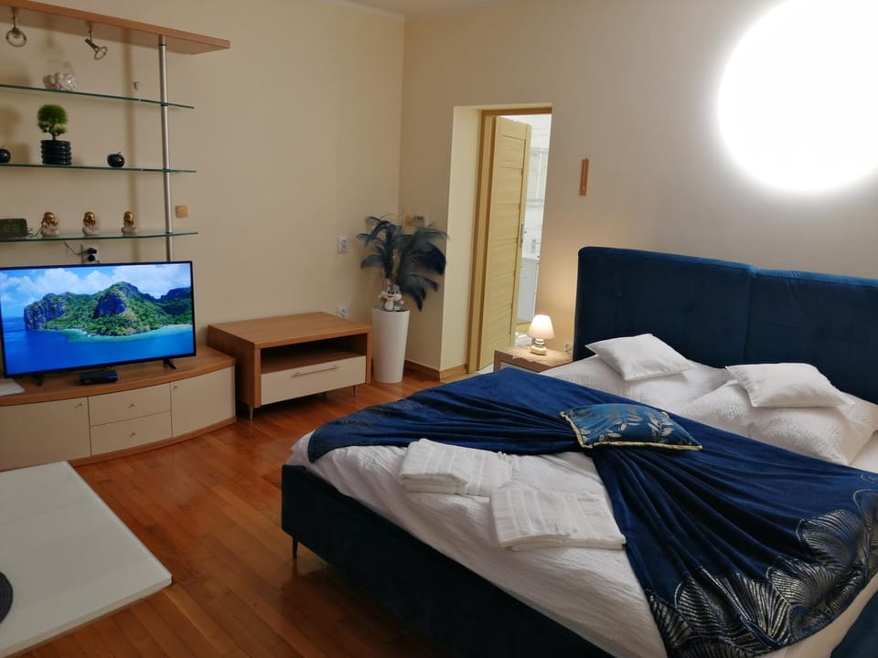 TV and multimedia