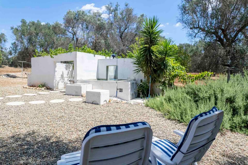 Garden, Garden view, sunbed