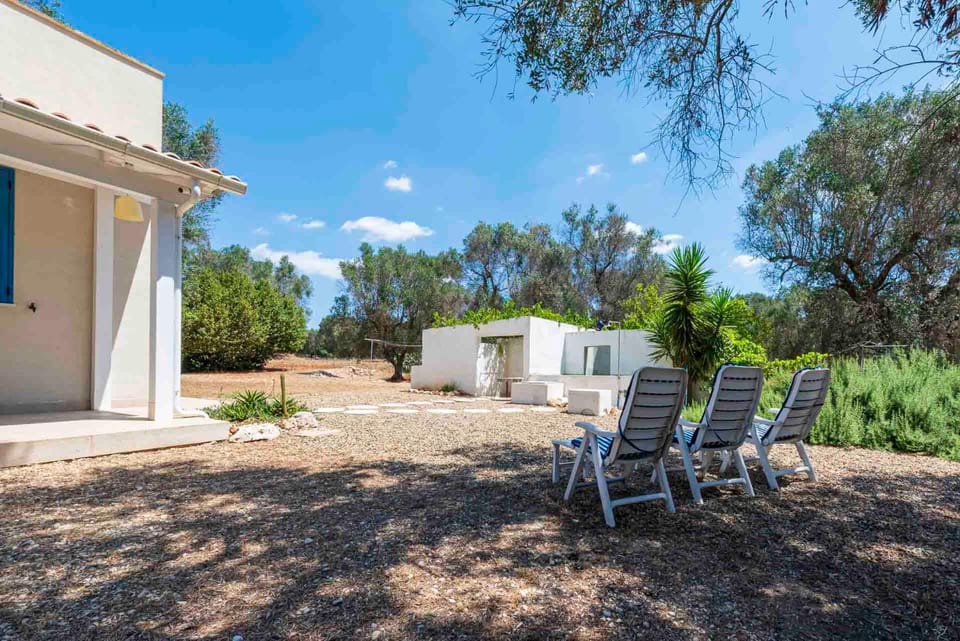 Property building, Garden view