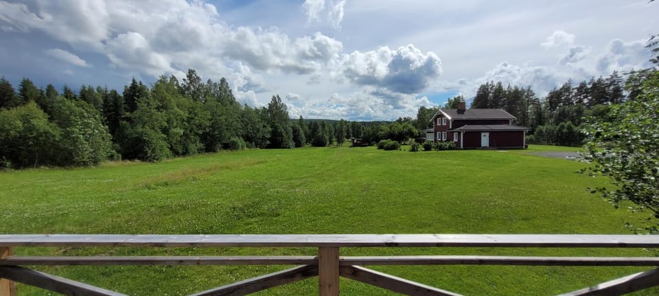 Day, Garden, Garden view