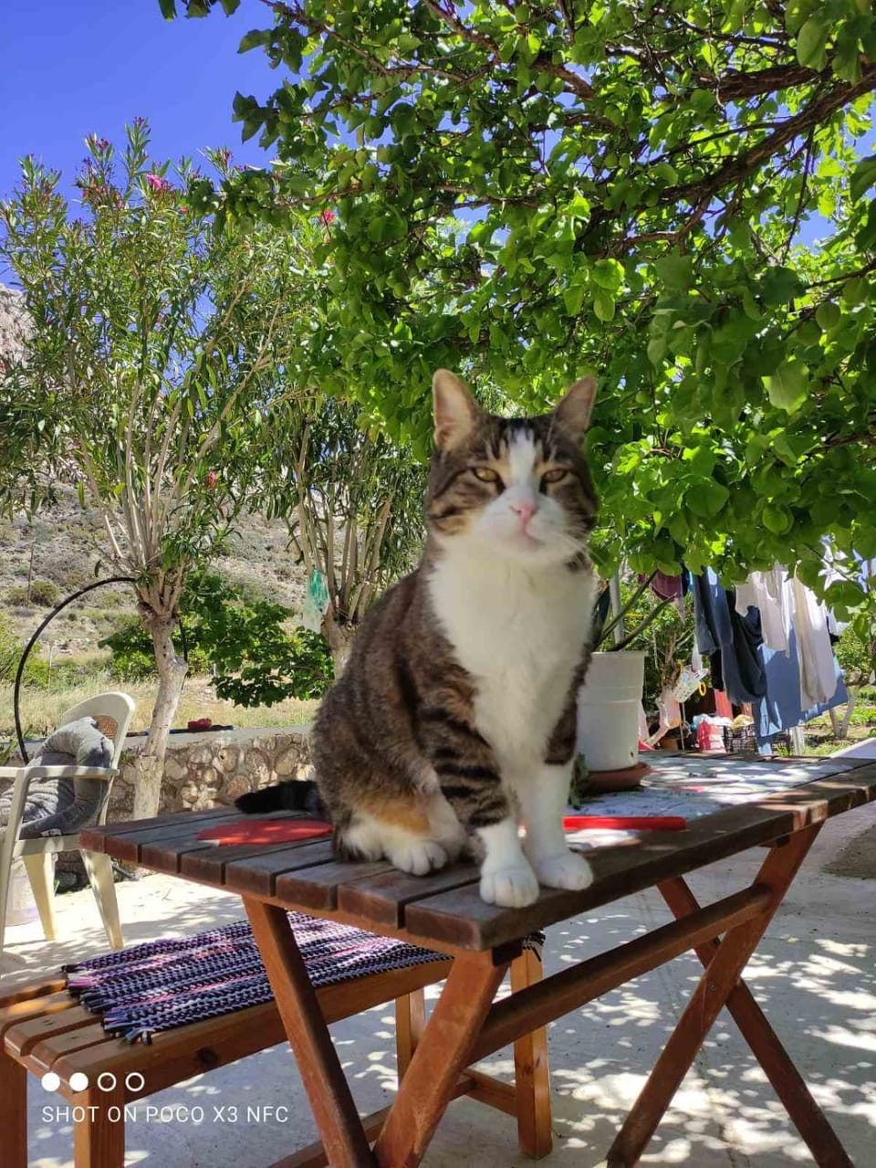Pleiades Apartments Apartment in Karpathos, 857 00, Greece