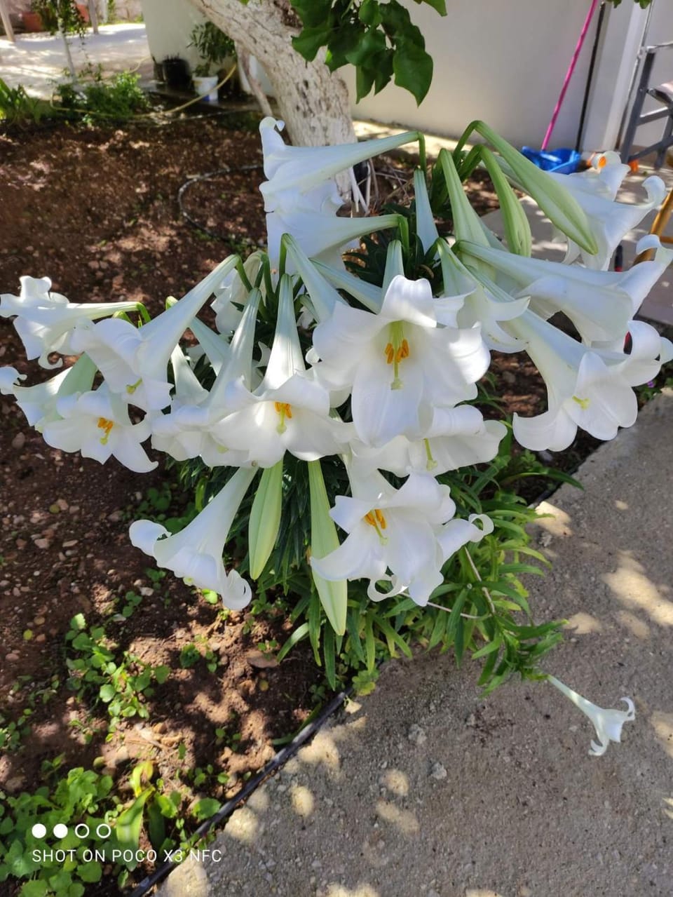Pleiades Apartments Apartment in Karpathos, 857 00, Greece