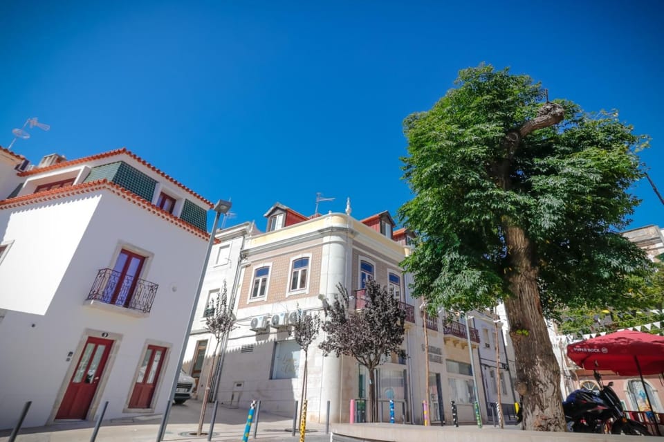 Property building, Day, Neighbourhood, Street view