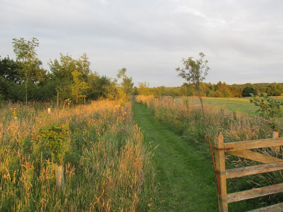 Area and facilities