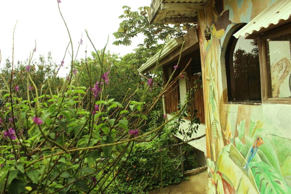 Facade/entrance, Garden, Communal kitchen