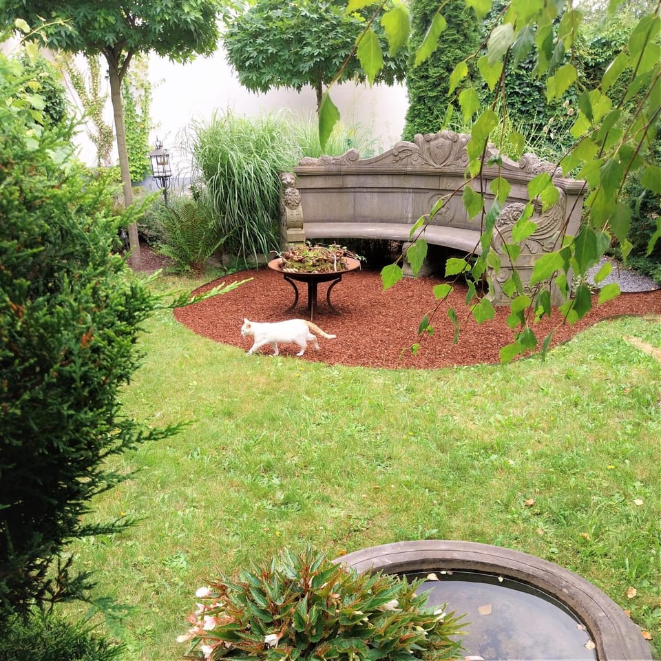 Garden view