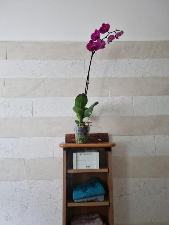 Da Bijoux Bed and Breakfast in Province of Massa and Carrara