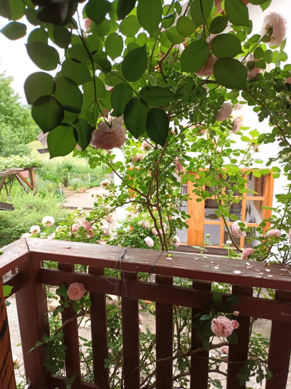 Apartman Latin 2 Apartment in Croatia