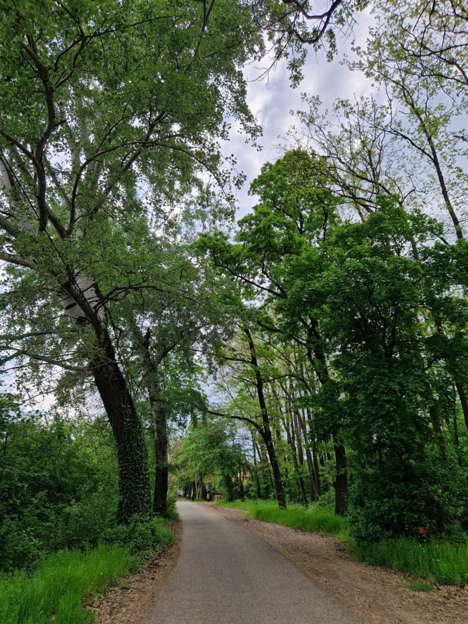 Neighbourhood