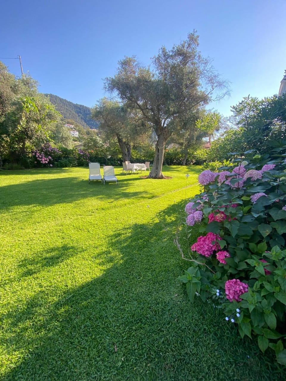 Villa Olivia Apartment hotel in Thasos