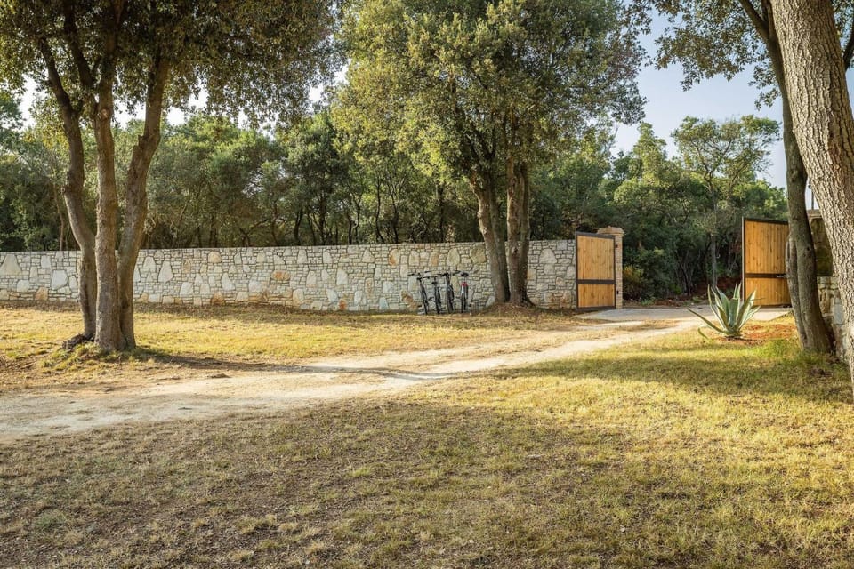 Patio, Garden, Garden view