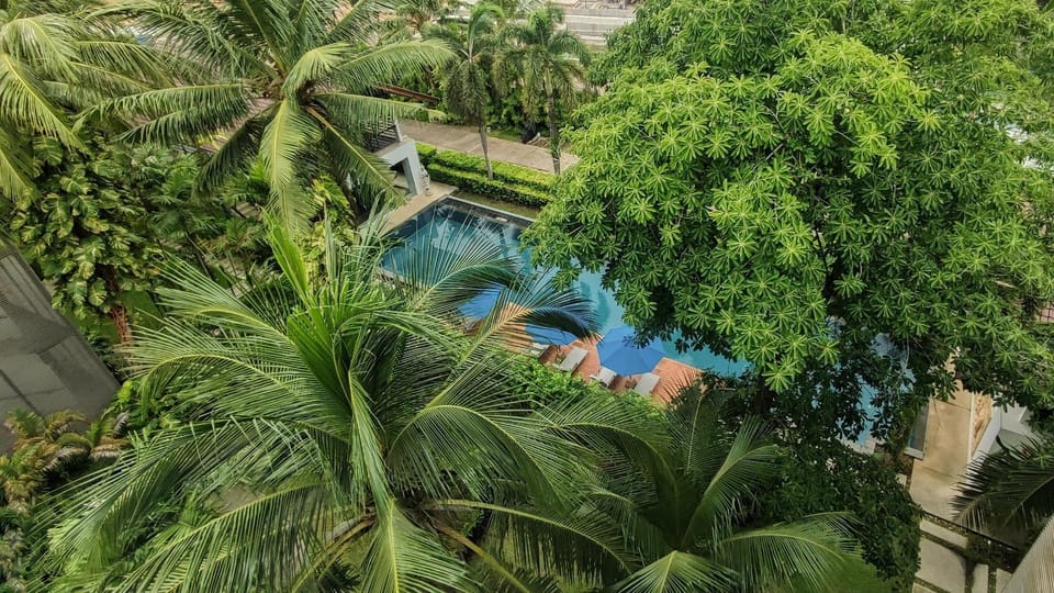 Garden, Garden view, Pool view, Swimming pool