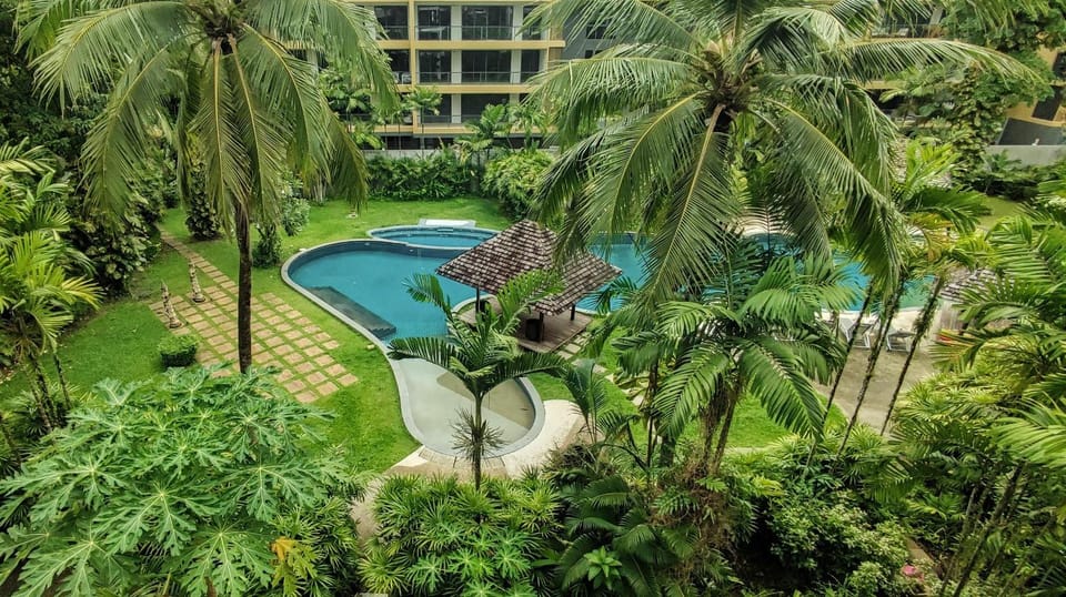 Garden, Garden view, Pool view, Swimming pool