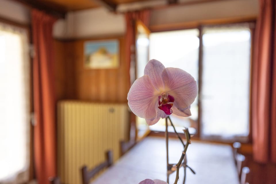 La rose des vents N 2 Apartment in Châtel