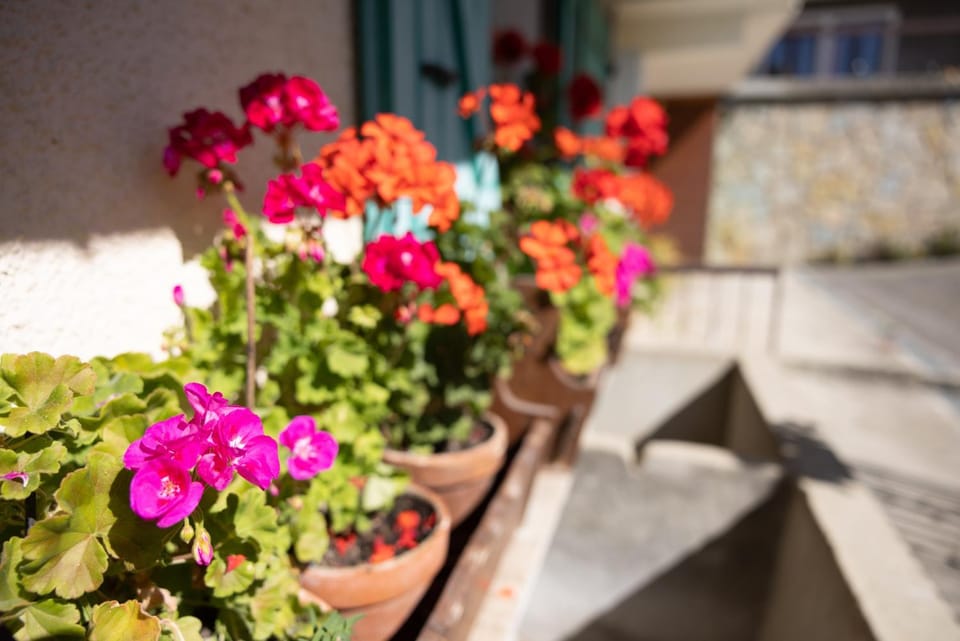 La rose des vents N 1 Apartment in Châtel