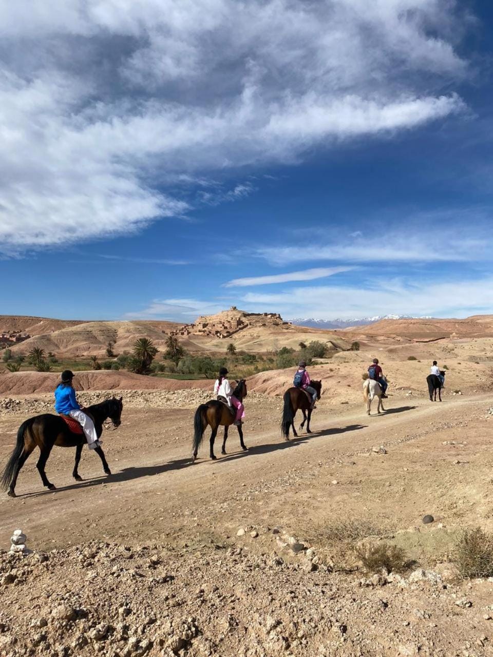Natural landscape, Horse-riding, Animals, group of guests