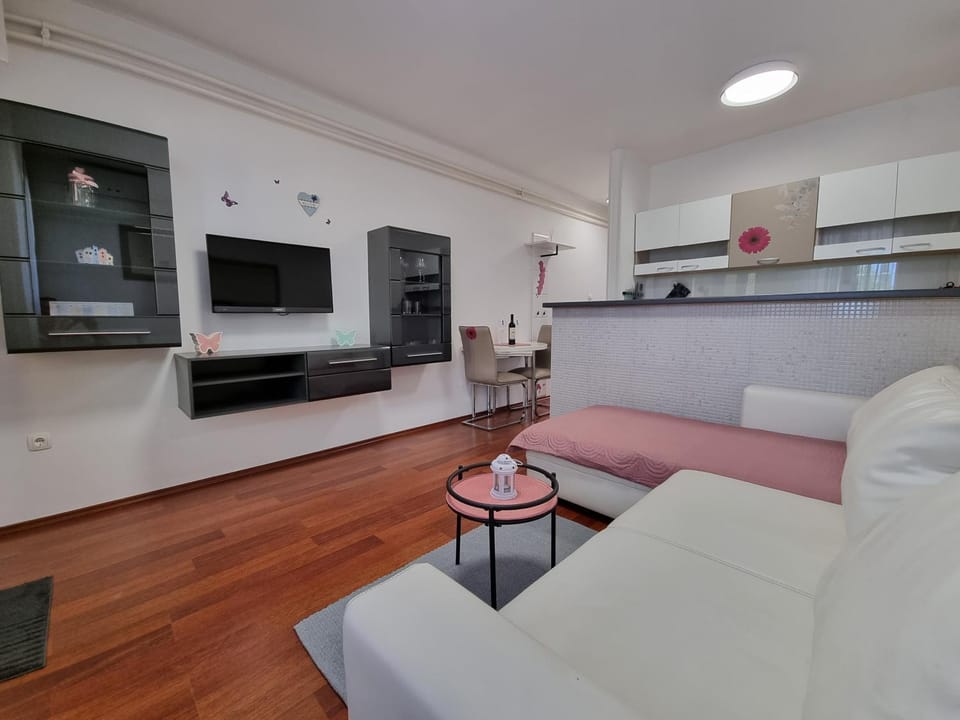 Living room, kitchen