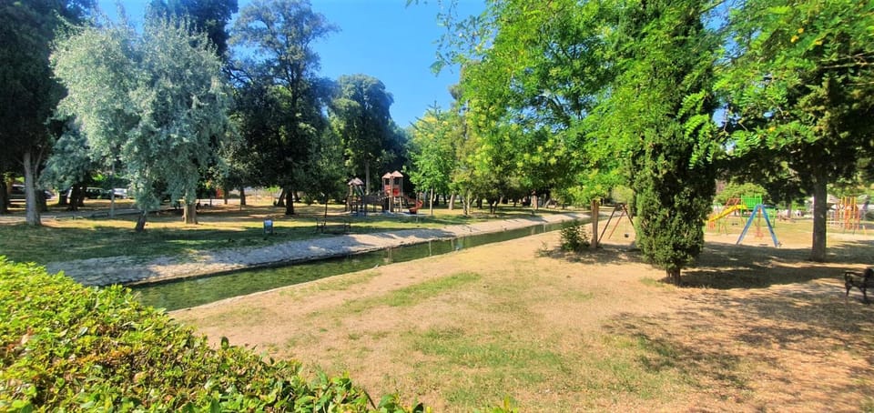 Neighbourhood, Natural landscape