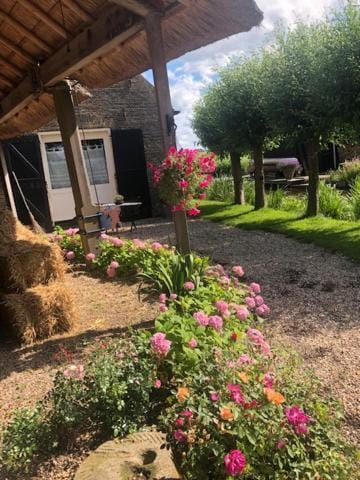 Property building, Spring, Day, Garden, Garden view