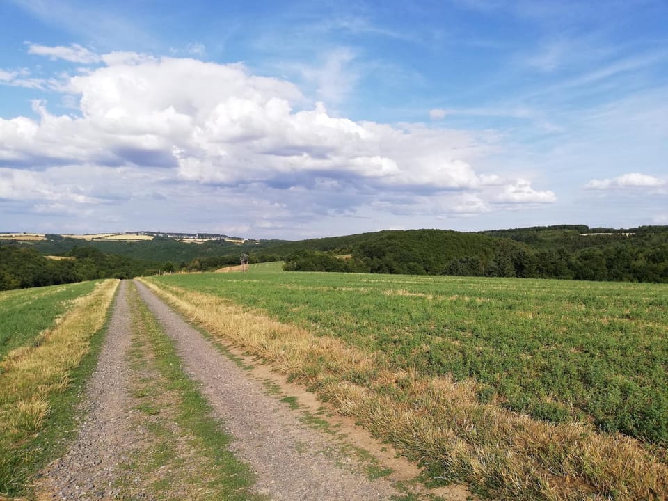 Ferienwohnung Altmaier - Ferien auf dem Lande Apartment in Rhineland-Palatinate