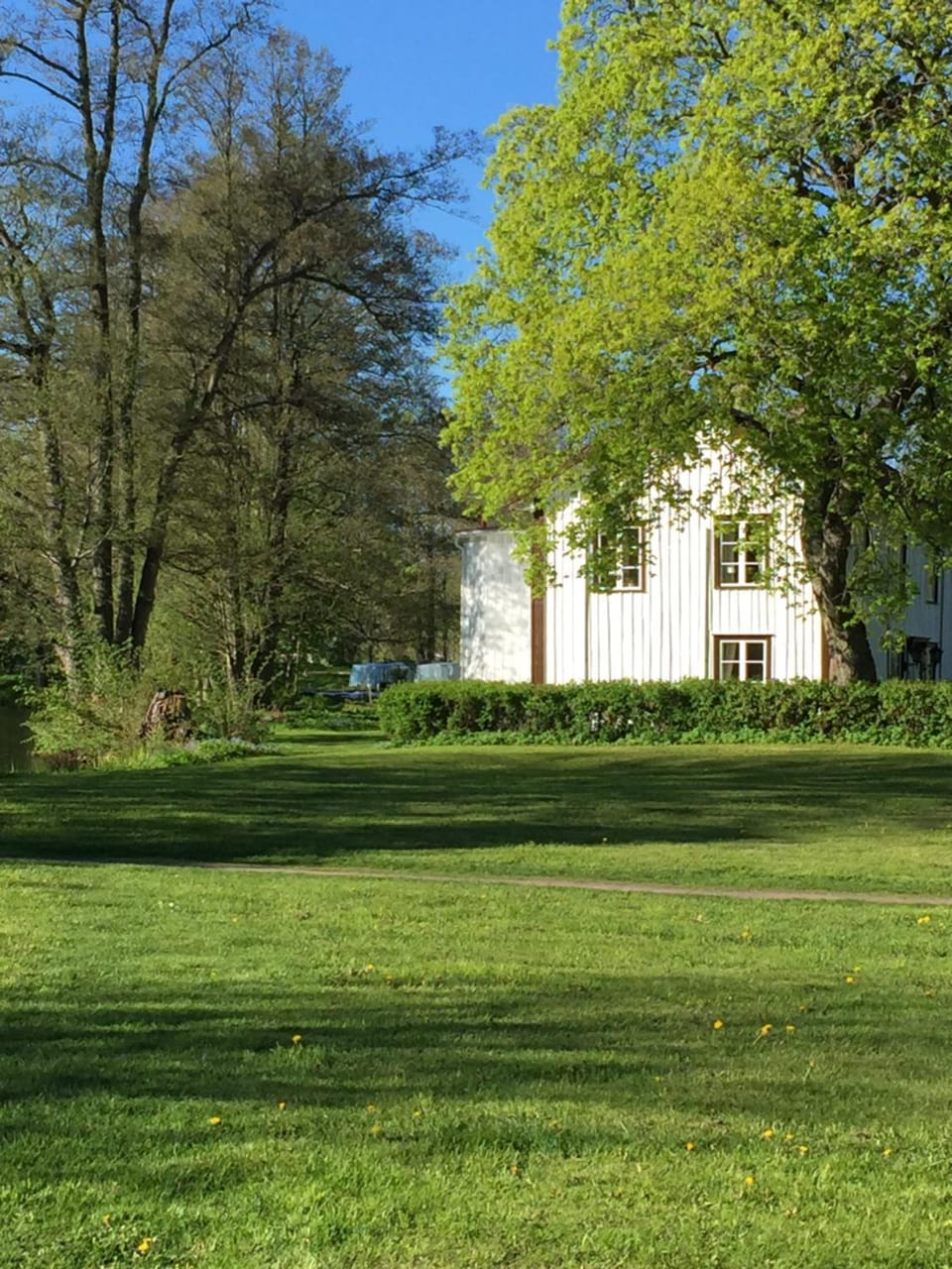 Property building, Natural landscape, Garden