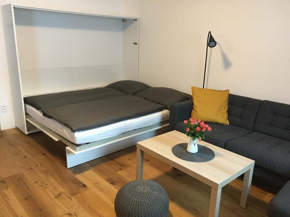 Apartmán u sjezdovky Apartment in Czechia