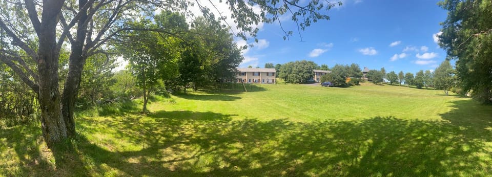 Spring, Natural landscape, Garden, Garden view