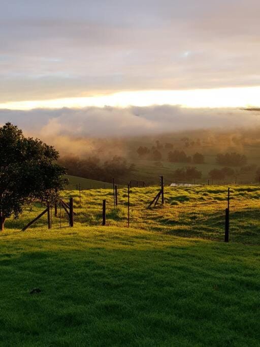 Cedarwood Guest House House in KwaZulu-Natal