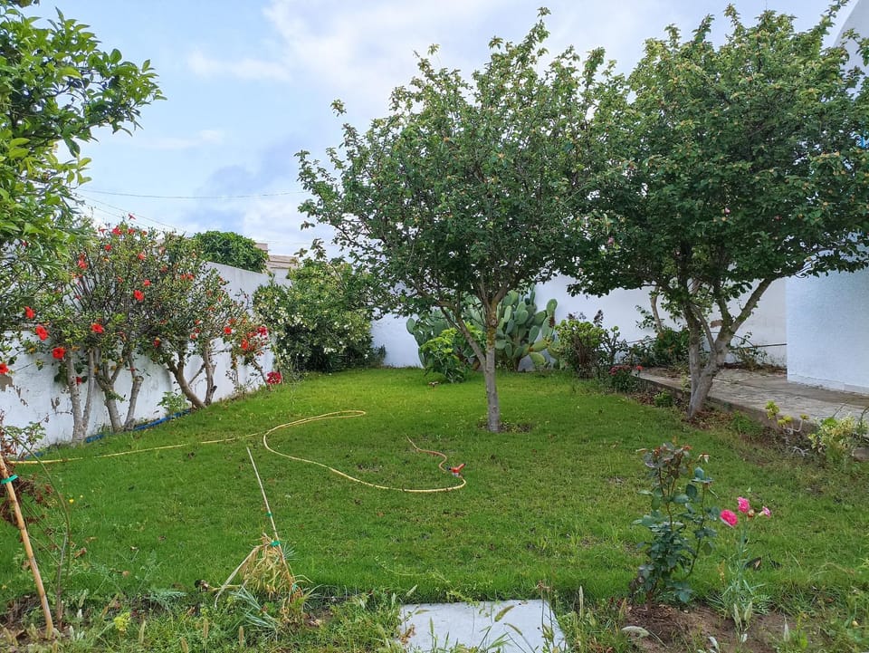 Garden, Garden view