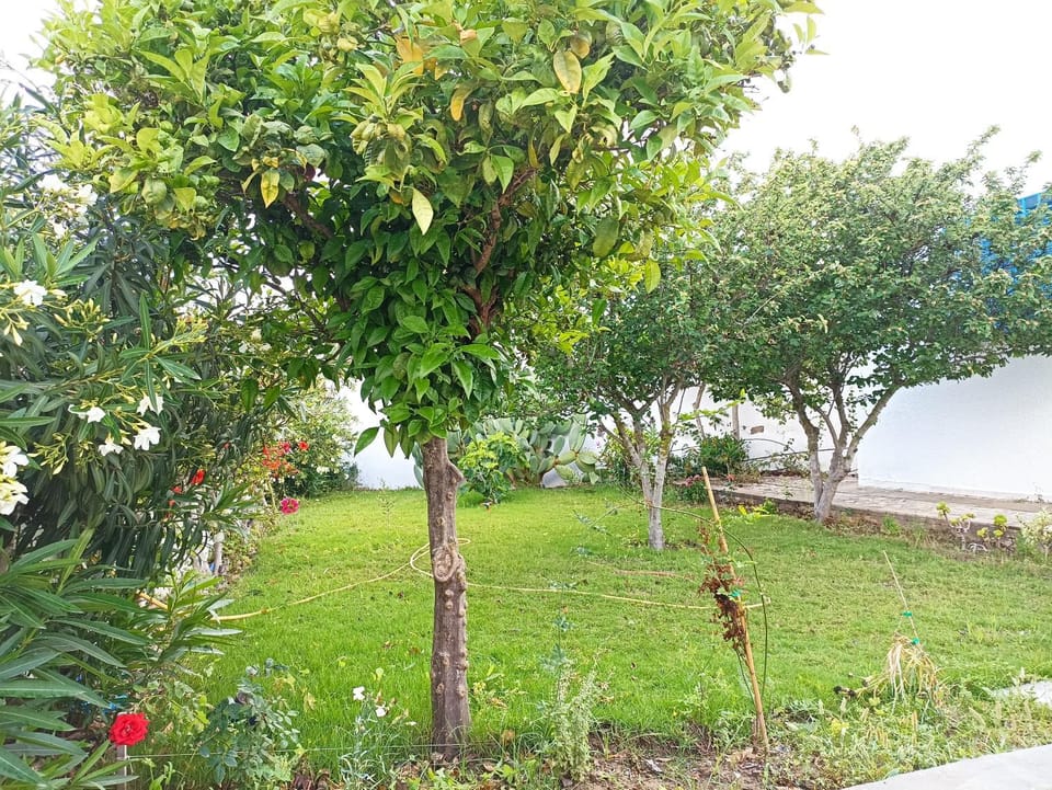 Garden, Garden view