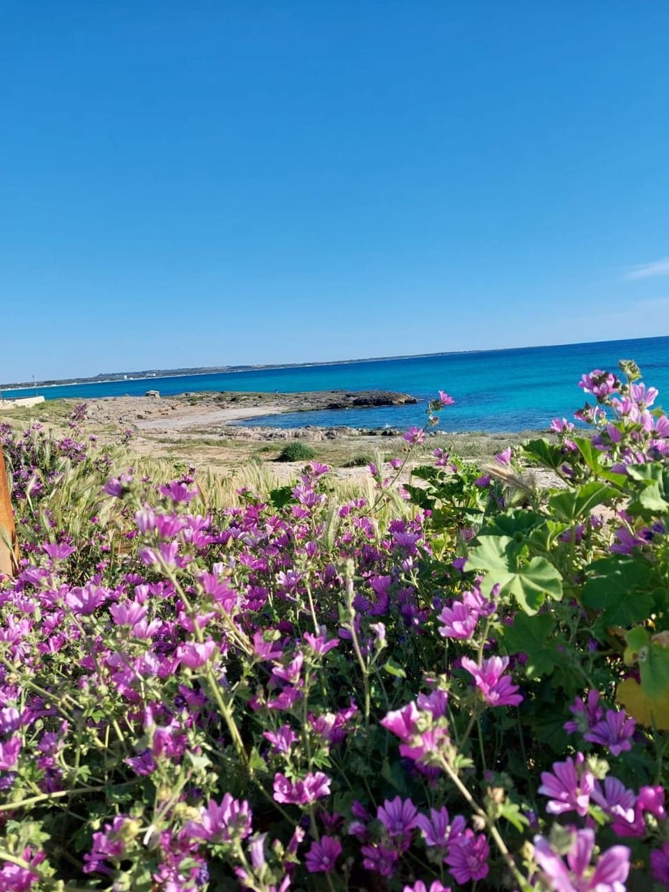 B&B LA GIARA ART Bed and Breakfast in Gallipoli