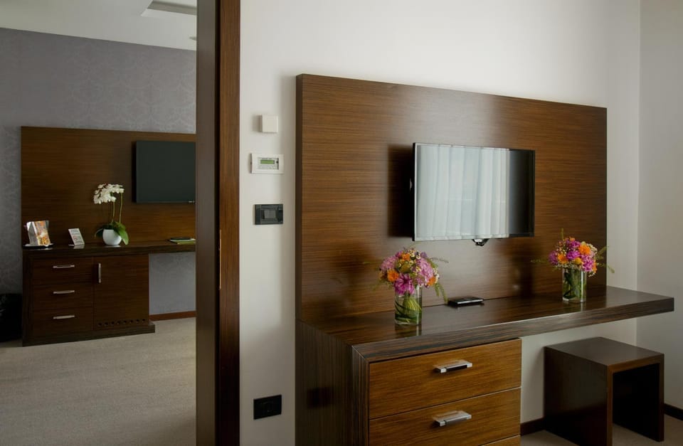 TV and multimedia