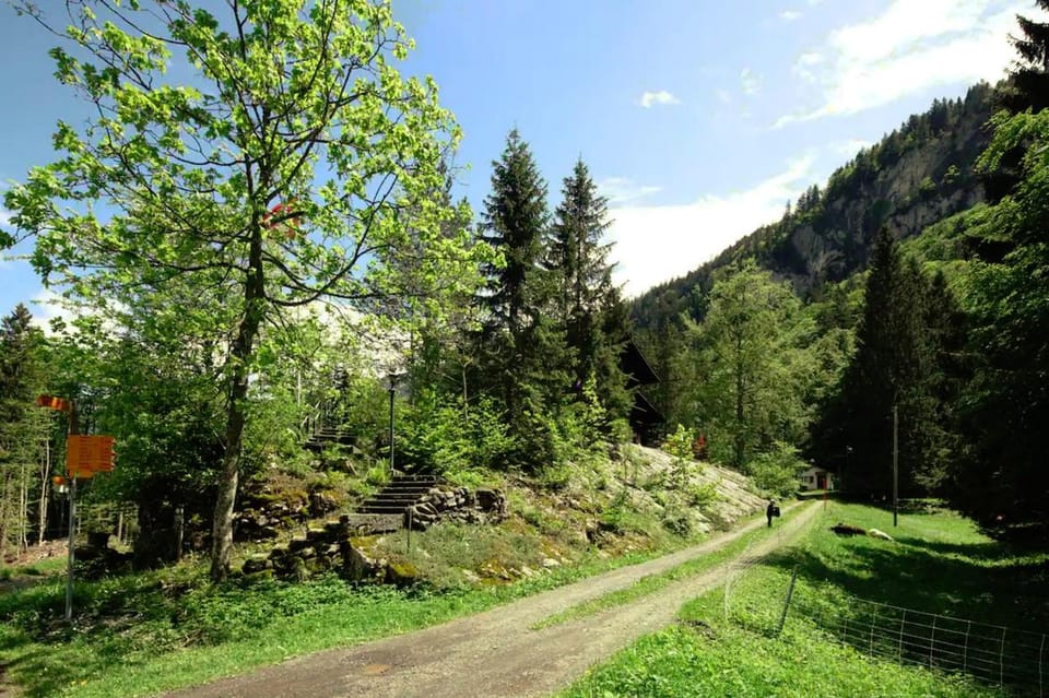 Natural landscape, Garden