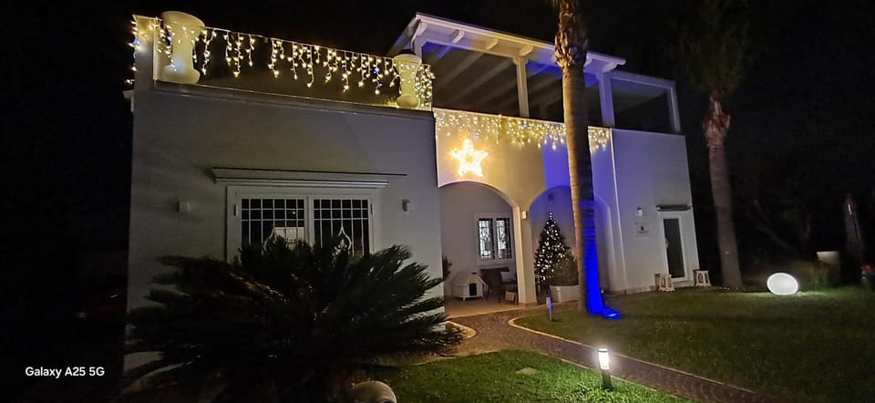 Property building, Night, Garden, Garden view