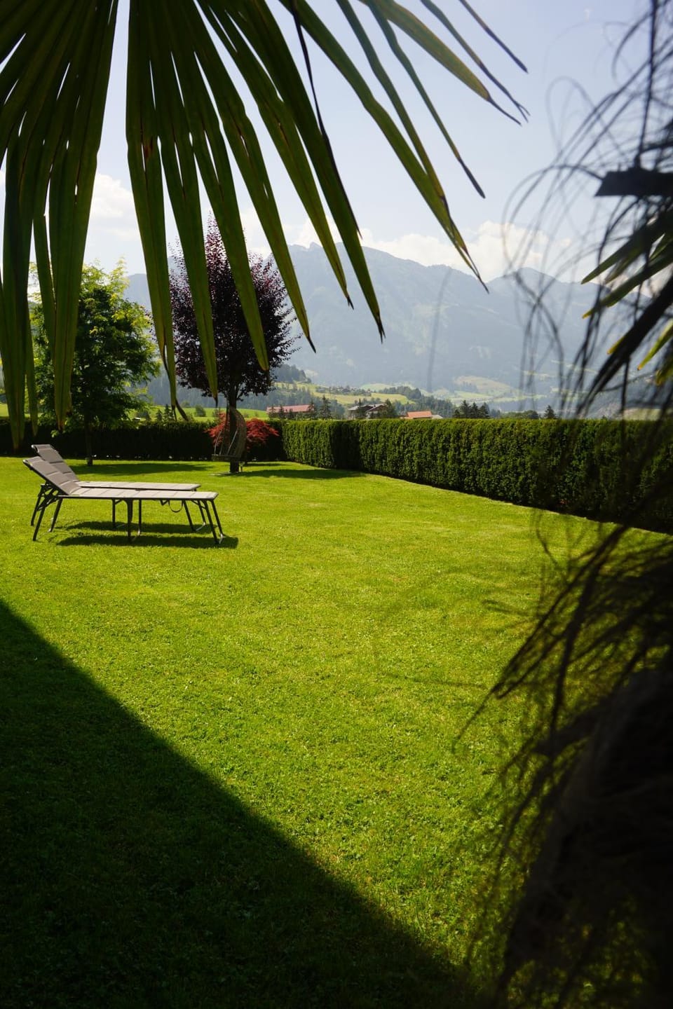 Garden, Garden view, Mountain view