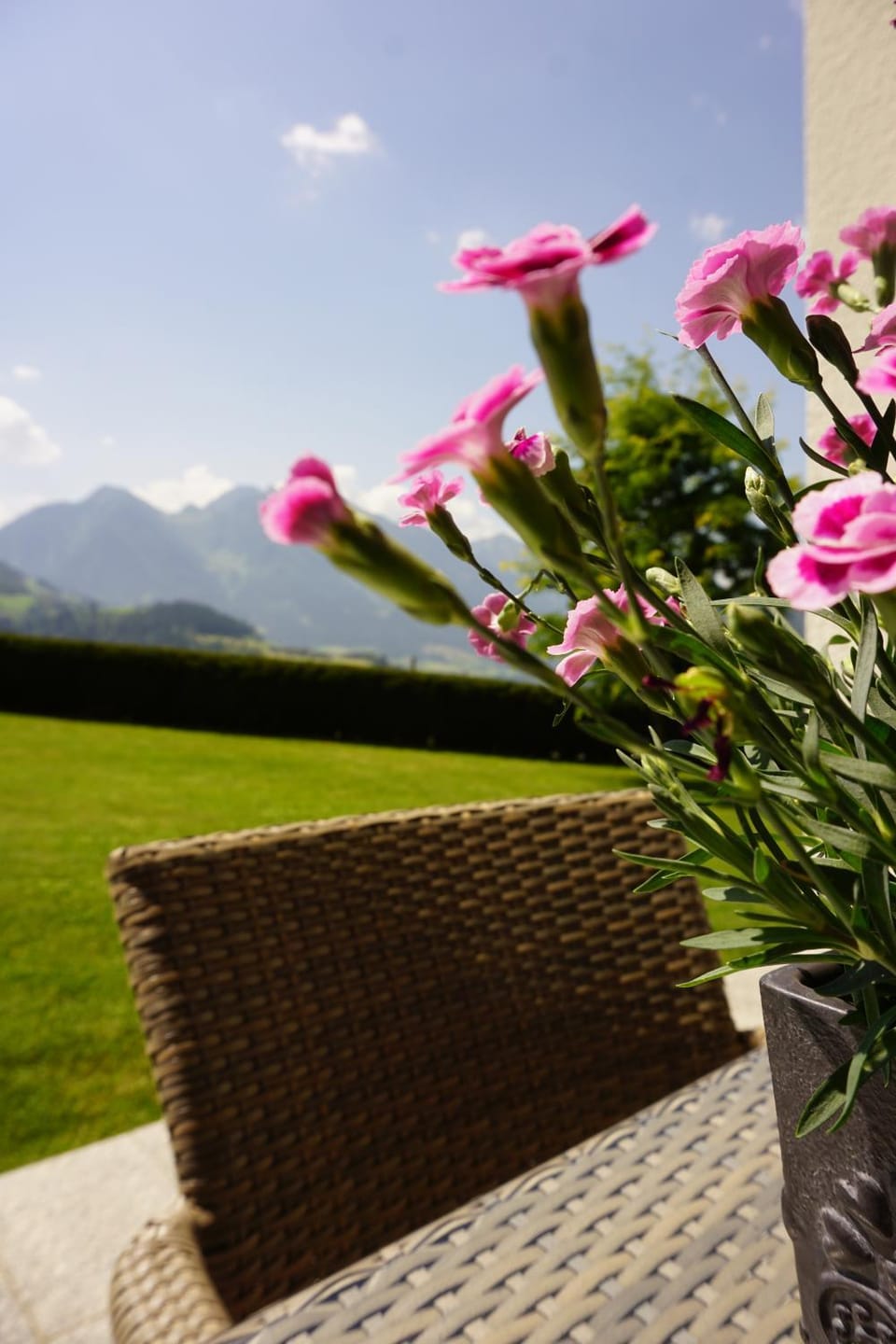 Garden, Garden view, Mountain view