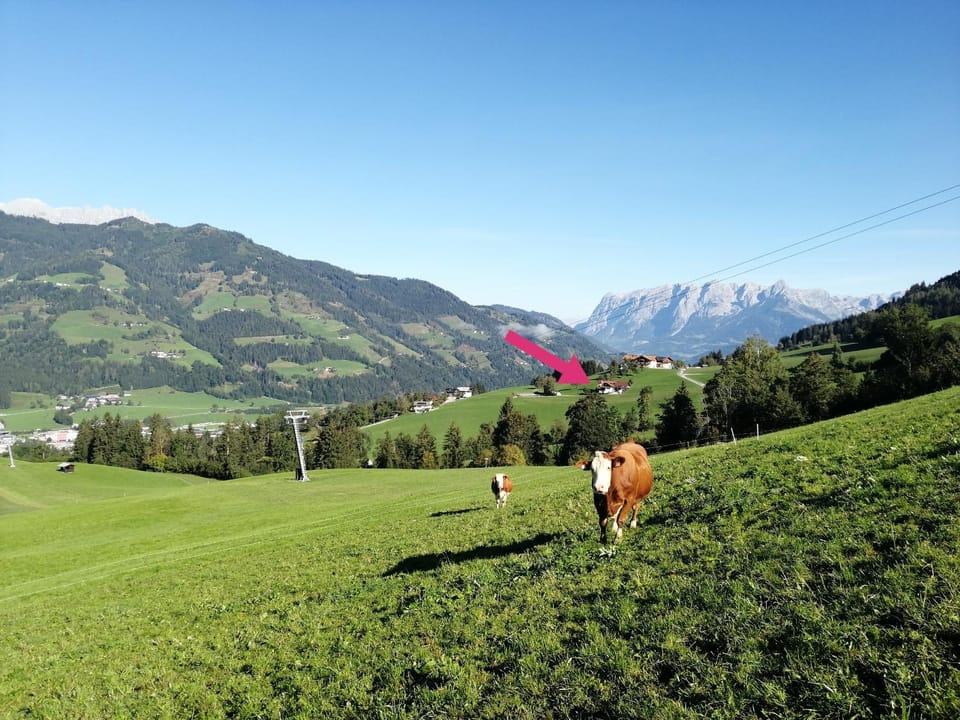 Property building, Natural landscape, Skiing, Mountain view