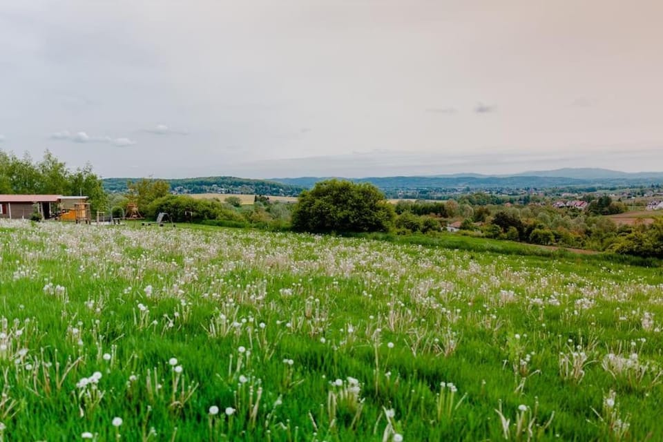 Spring, Day, Natural landscape, Garden, Mountain view
