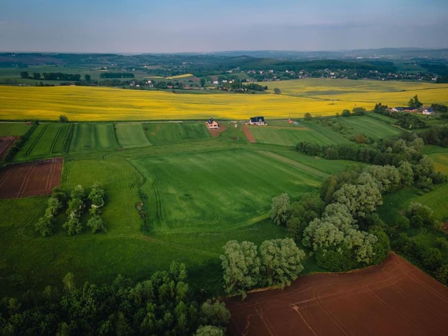 Spring, Day, Natural landscape, Bird's eye view, Garden