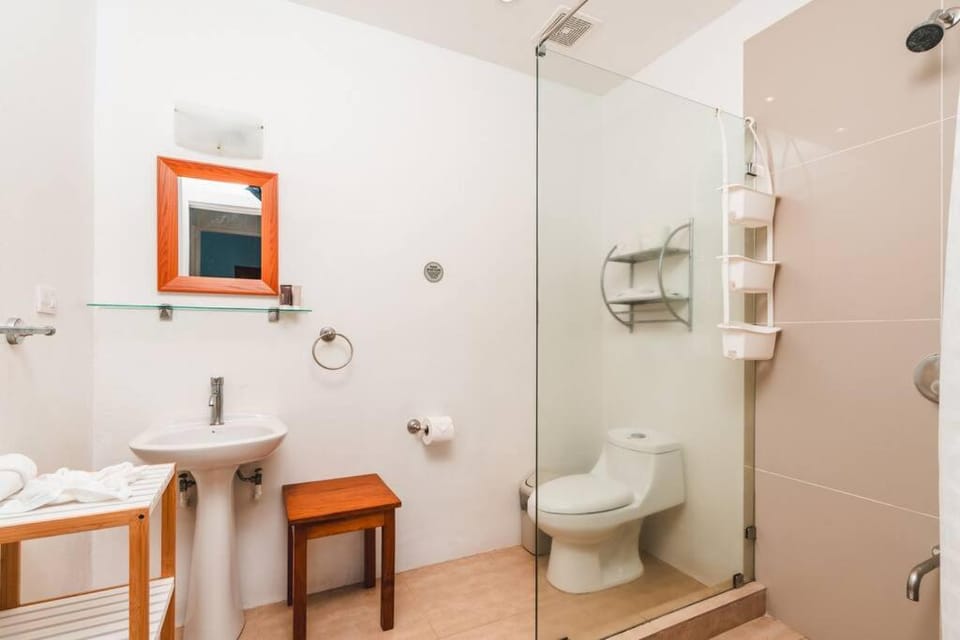 Shower, Toilet, towels